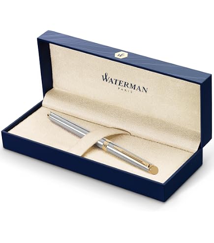 Amazon.com: Waterman fountain pen : Office Products